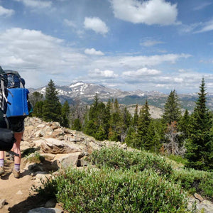 Hikers on hiking up a tall mountain with green bushes and trees