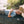 Man lying on a sleeping mat by a body of water with trees in the background