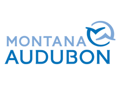 Montana Audubon Logo